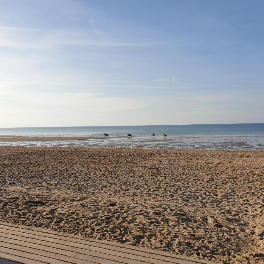 Appartement Studio Proche Mer 4 Pers Residence Calme Avec Parc Blonville-sur-Mer Luaran gambar